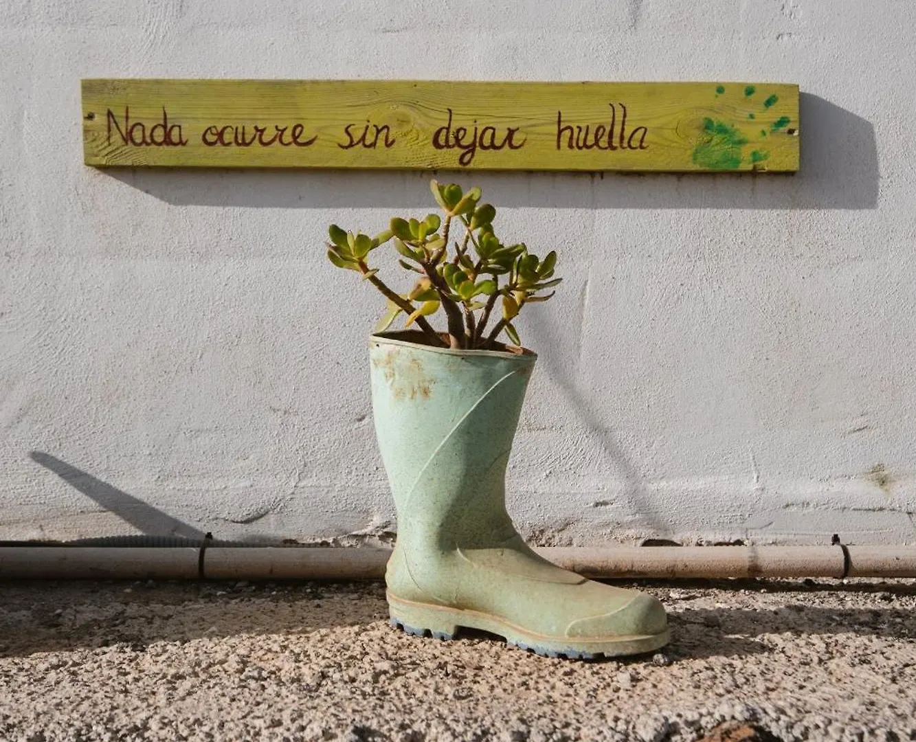 Hayati, Suite Romantica Arona  Arona (Tenerife)